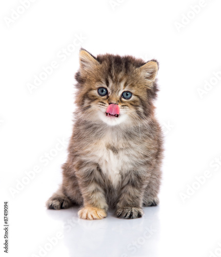 Cute tabby kitten licking lips on white background