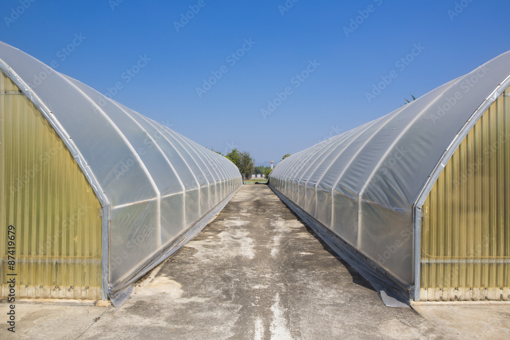 Greenhouses growing vegetables on background sky outdoors Greenhouses growing vegetables on background sky outdoors