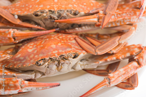 steamed crab for seafood