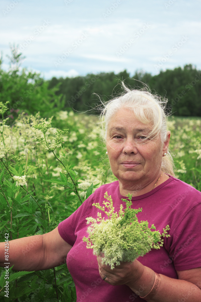 Fototapeta premium Woman picking flowers meadowsweet in meadows