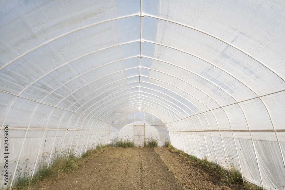 Greenhouses growing vegetables on background sky outdoors Greenhouses growing vegetables on background sky outdoors