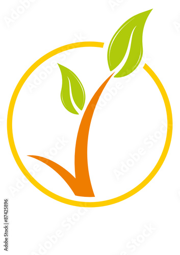 CREATION ET CONCEPTION