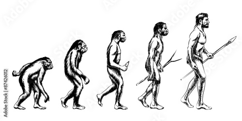 Valokuvatapetti Human evolution illustration