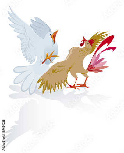 Un pigeon et un coq se dispute
