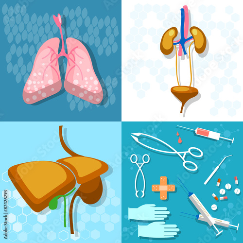 Medicine: human anatomy, examination transpatologiya, lungs