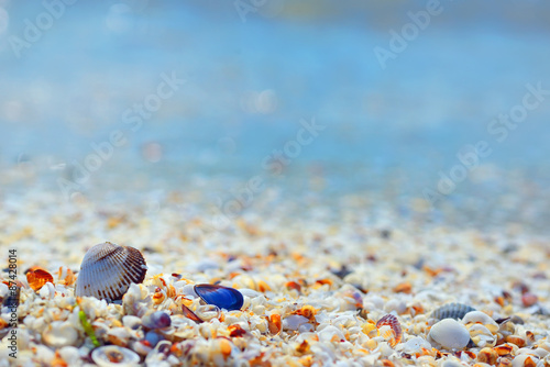 Shells and sand
