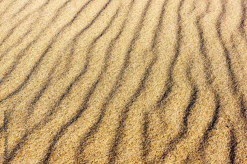 sand on the dunes