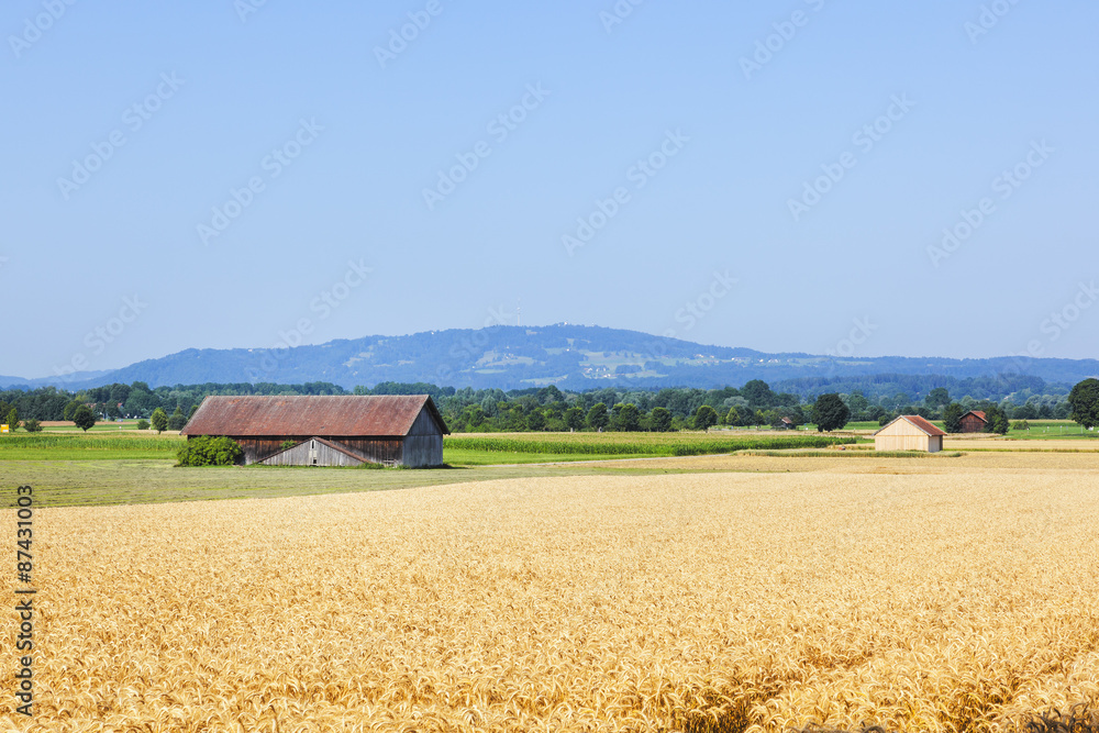 Fototapeta premium countryside