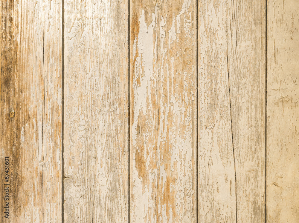 Naklejka premium Heller Holzhintergrund Anstrich Weiß verwittert