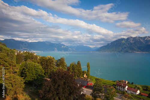 Vineyards of the Chexbres region over lake of Geneva
