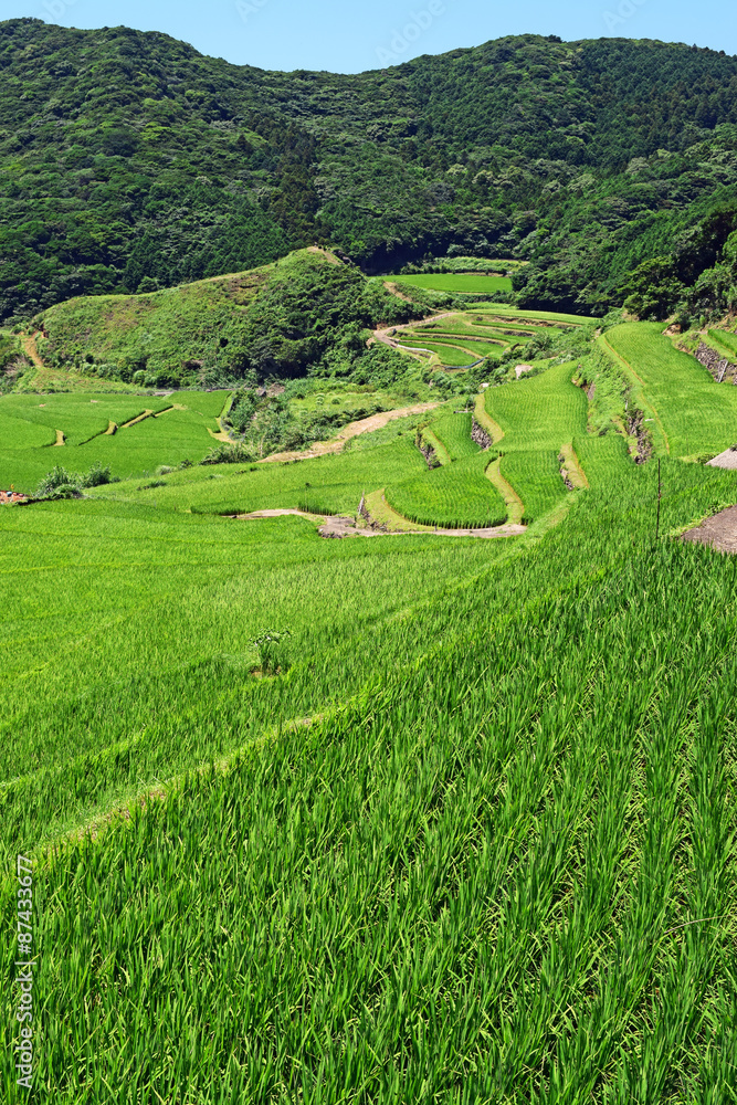 長崎の世界遺産(候補) 真夏の春日の棚田
長崎の世界遺産(候補) 真夏の春日の棚田