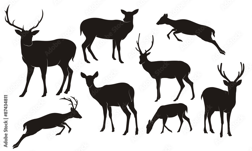 Collection of silhouettes of wild animals - the deer family Collection of silhouettes of wild animals - the deer family