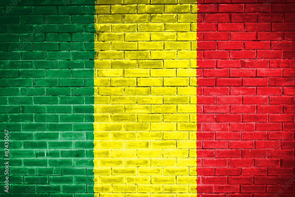 mali flag,wall texture background mali flag,wall texture background