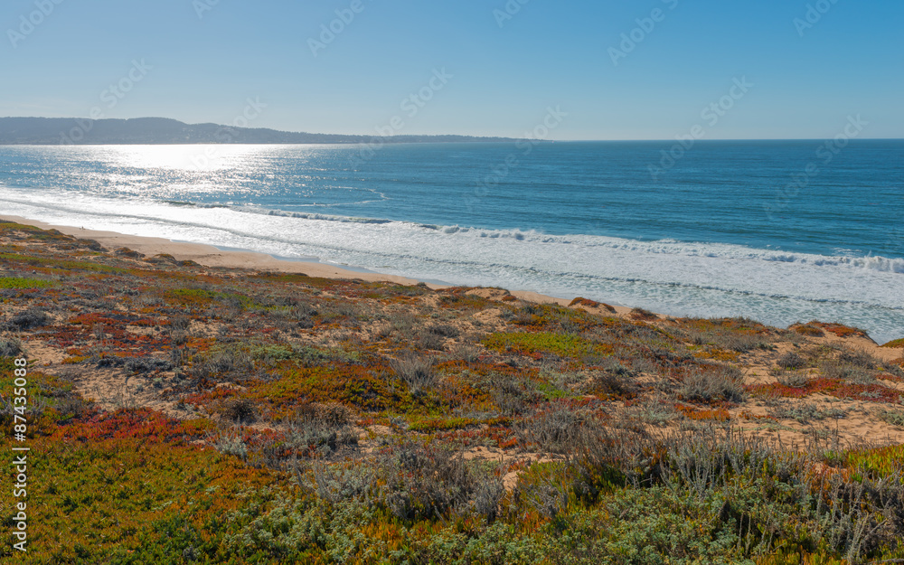 Along California State Route 1. Coastline Along California State Route 1. Coastline