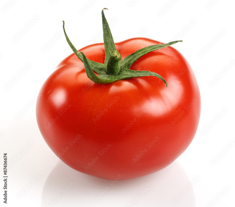 custom made wallpaper toronto digitalTomato