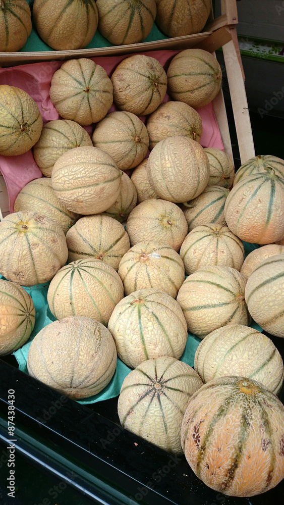 melons 20072015
