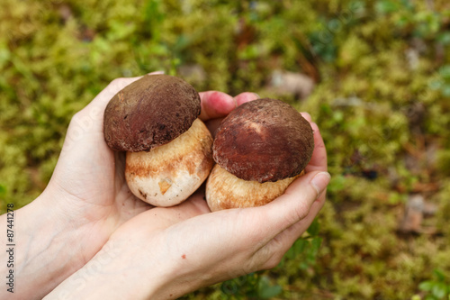 Hand holding ceps