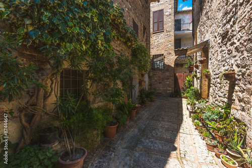 Fototapeta Naklejka Na Ścianę i Meble -  Flowery streets in Spello, Italy