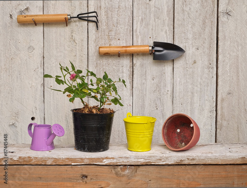 Gardening concept with vintage style