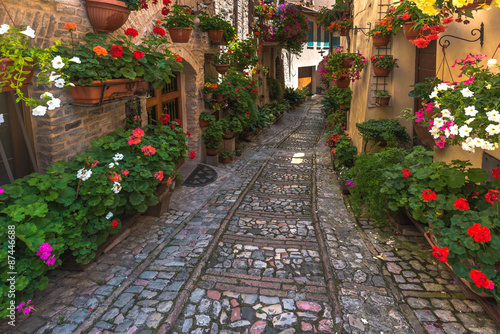 Fototapeta Naklejka Na Ścianę i Meble -  Floral street in central Italy, in the small Umbrian medieval to