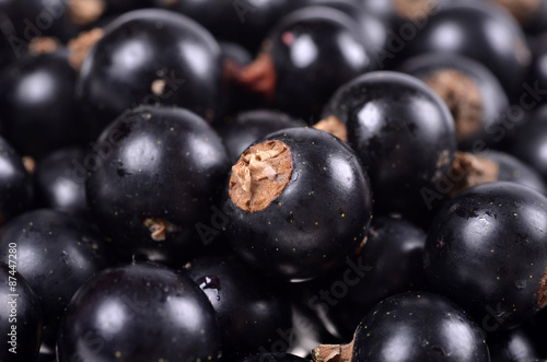 Abstract background: blackcurrants close up