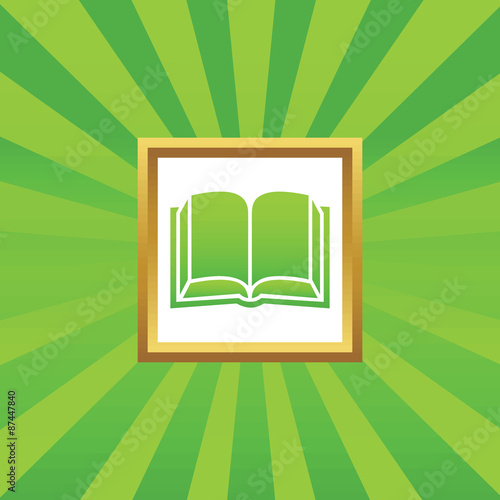 Book picture icon
