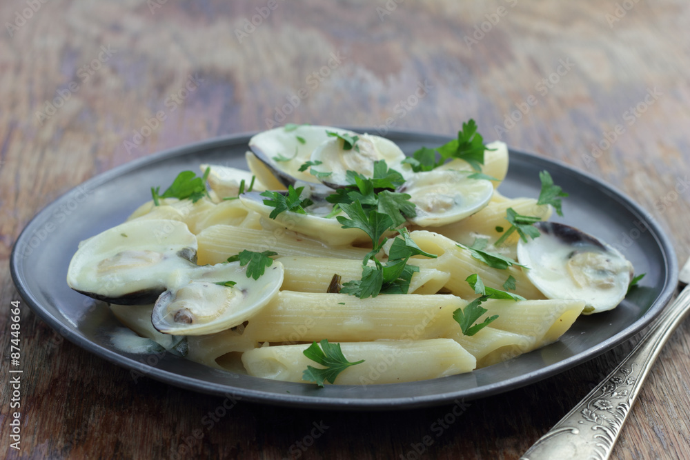 Penne with white clamshells in white sauce. Penne with white clamshells in white sauce.