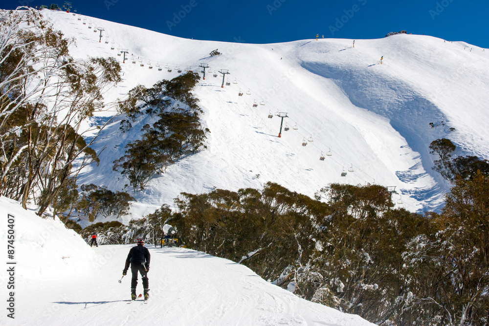 Naklejka premium Mt Hotham in Winter