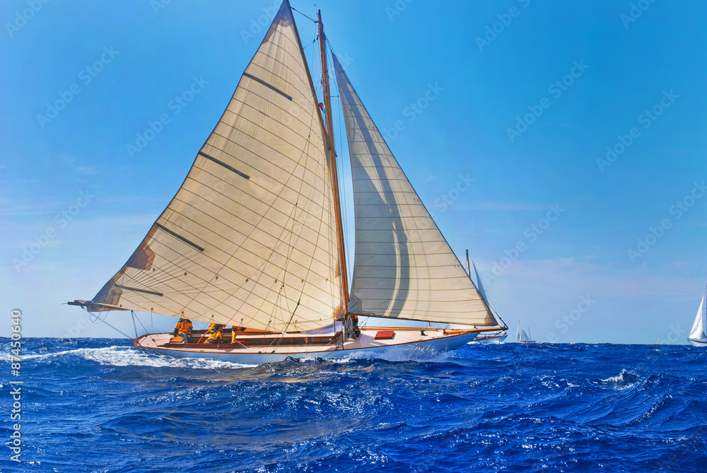 Fototapeta premium Regata