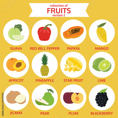 collection of fruits version two, food vector illustration, flat