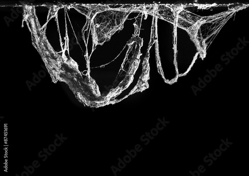 Horror cobweb or spider web in ancient thai house isolated on black background