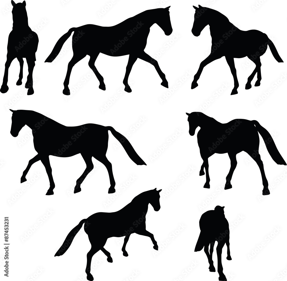 horse silhouette in parade walk pose