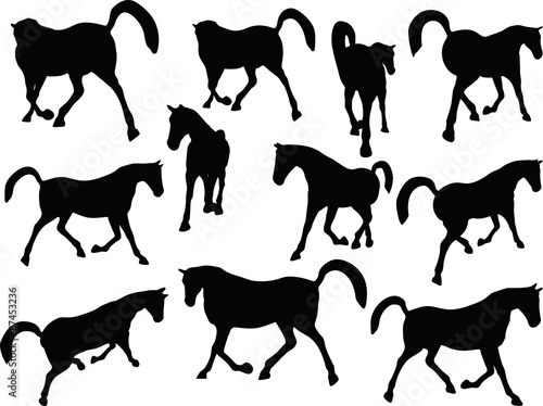 horse silhouette in prancing walk pose