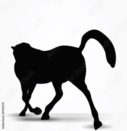 horse silhouette in prancing walk pose