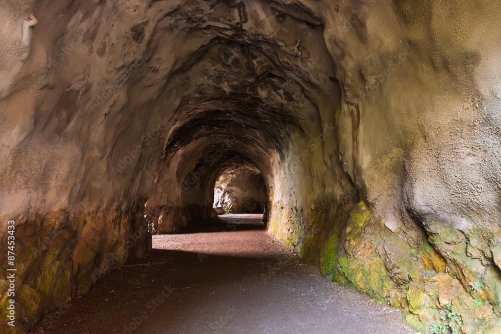 Obraz premium Tunnel in the mountain with a footpath, stretching into the distance. Diminishing perspective. Interesting structure and color of the stone.