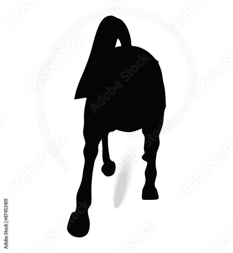 horse silhouette in running pose