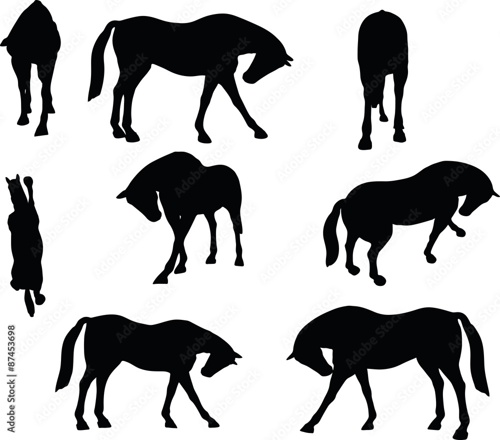 horse silhouette in standing around pose