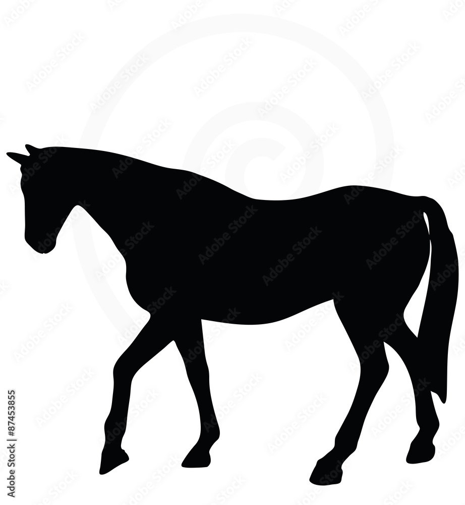 horse silhouette in walking head up pose