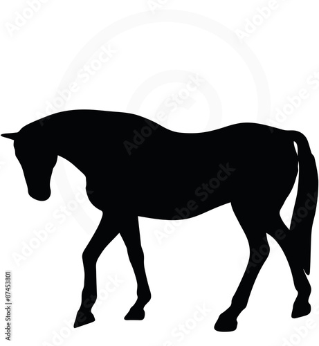 horse silhouette in walking head down