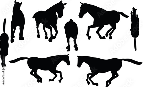 Foto horse silhouette in gallop pose