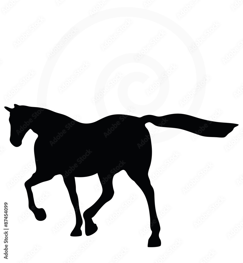 horse silhouette in loping pose