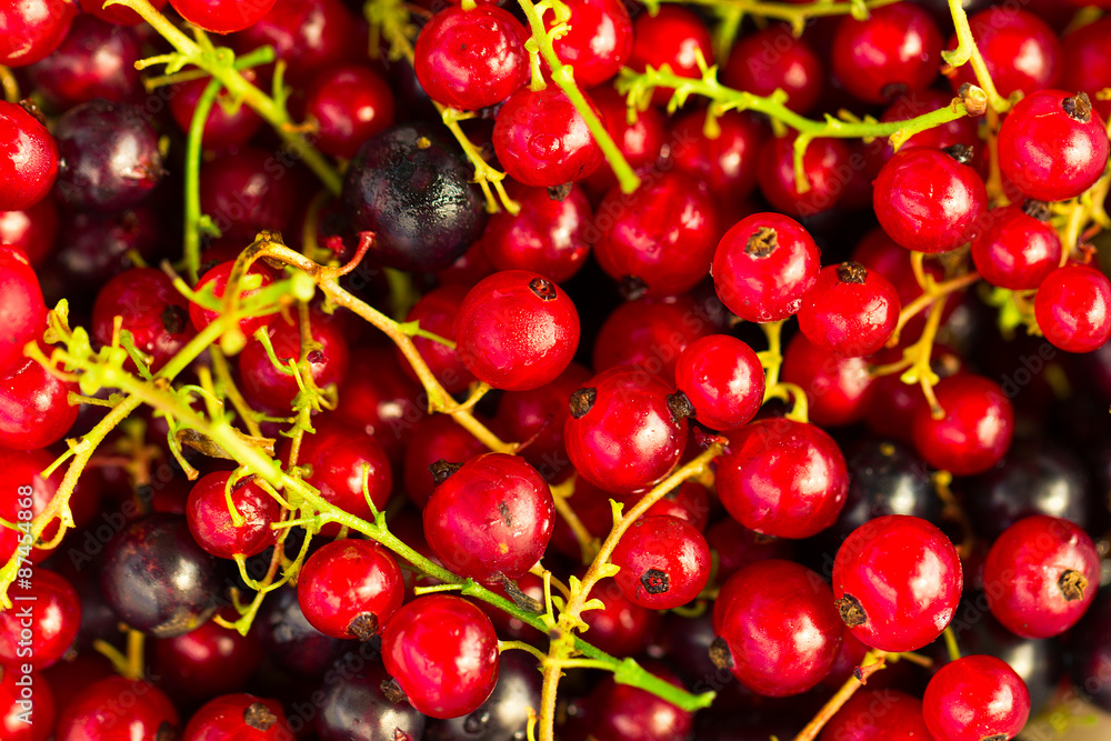 Fresh ripe currant berries bowl on wooden table background Fresh ripe currant berries bowl on wooden table background