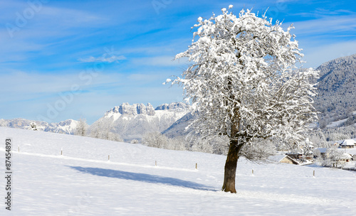 mountain landscape in winter with snow
