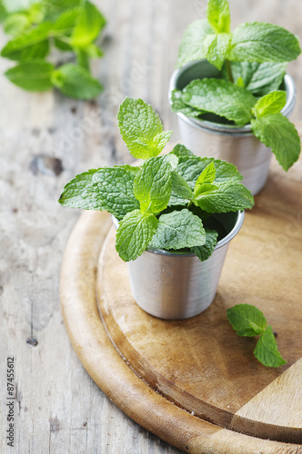 Green fresh mint on the wooden table