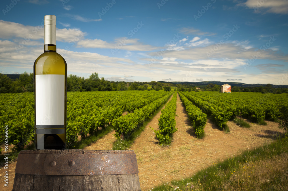 Wine composition with background of vineyard