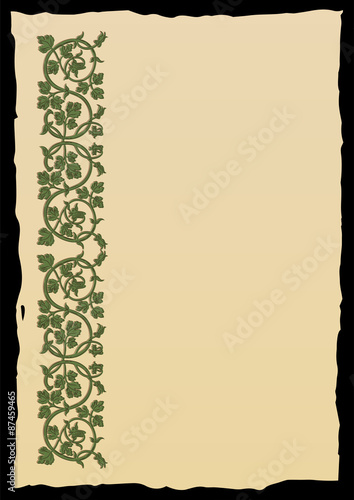 Template book page in a medieval style. Place for text. Floral frame of interwoven stems, foliage and flowers. Vector edging, design element and page decoration. Vector retro background