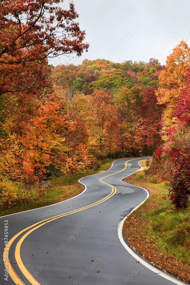 Naklejka premium Winding Road in the Fall