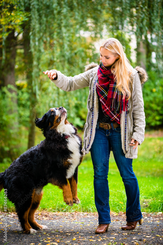 Hund im Park macht Männchen vor Frau StockFoto Adobe Stock