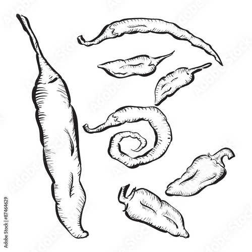 Chili sketch set isolated on White background