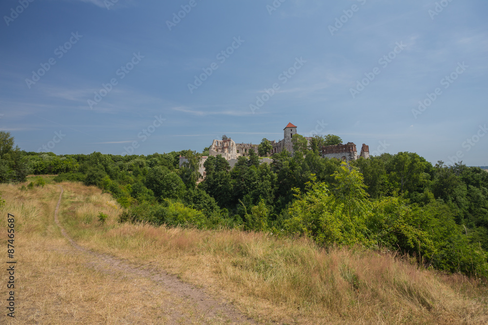 Castle in Poland ( Tenczynek castle) Cracow Castle in Poland ( Tenczynek castle) Cracow